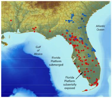 Distribution of Indigo Snake samples in Florida and Georgia