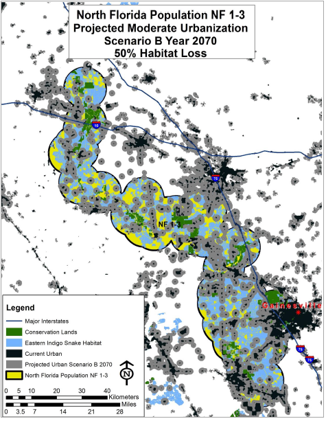 Projected urbanization in Scenario B in 2070.